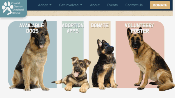 animated gif of Coastal German Shepherd Rescue Redesign